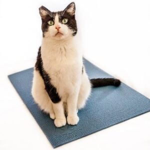 Tapis Yoga Cat